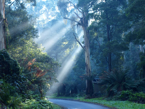 rays of sun on back road, Australia